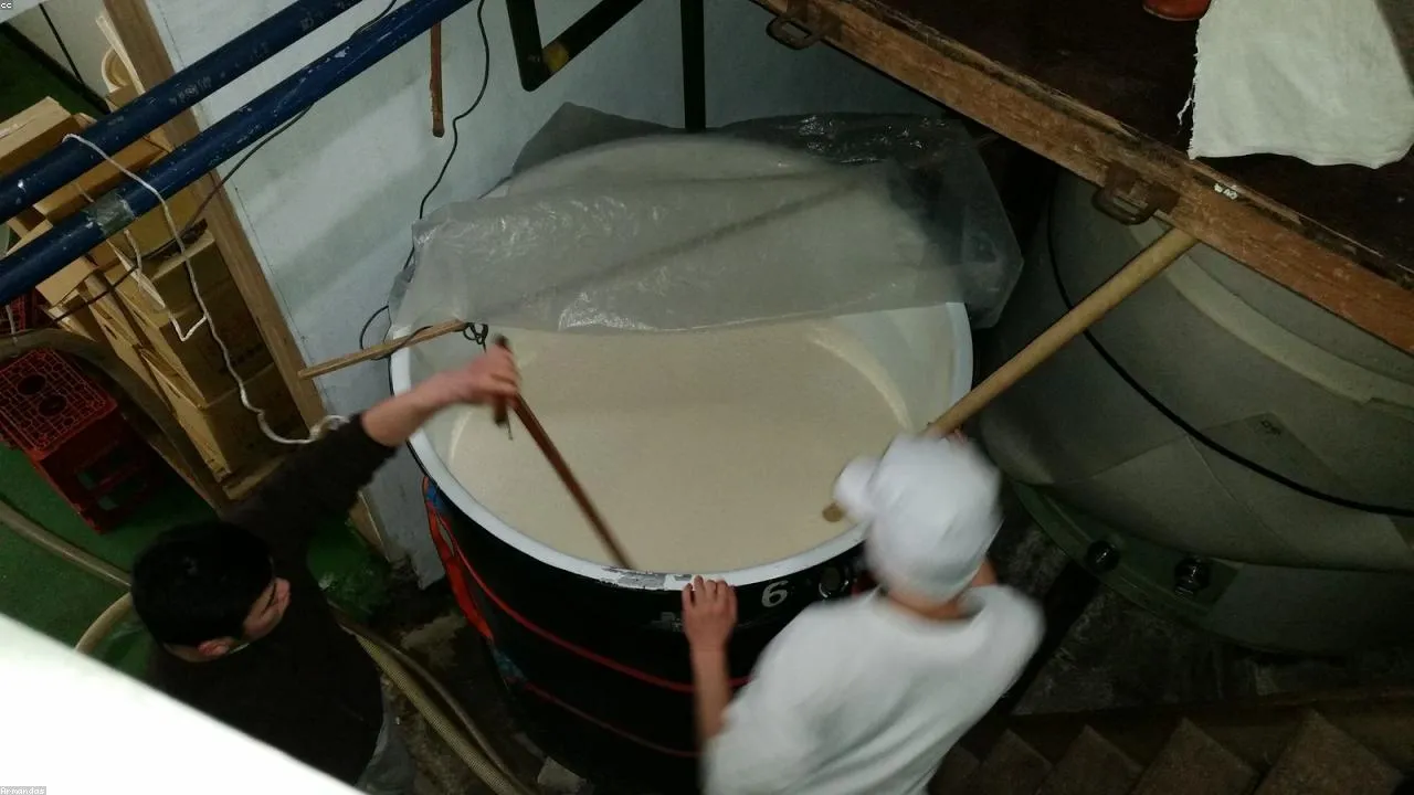 Sake brewery barrels and fermentation vessels at Izu Brewery