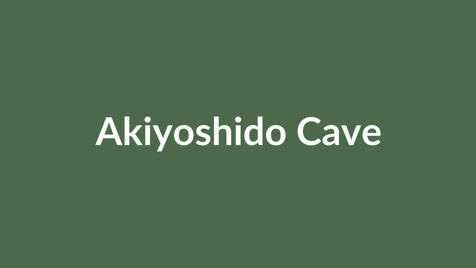 秋芳洞のメインホールと段状石灰岩の水たまり