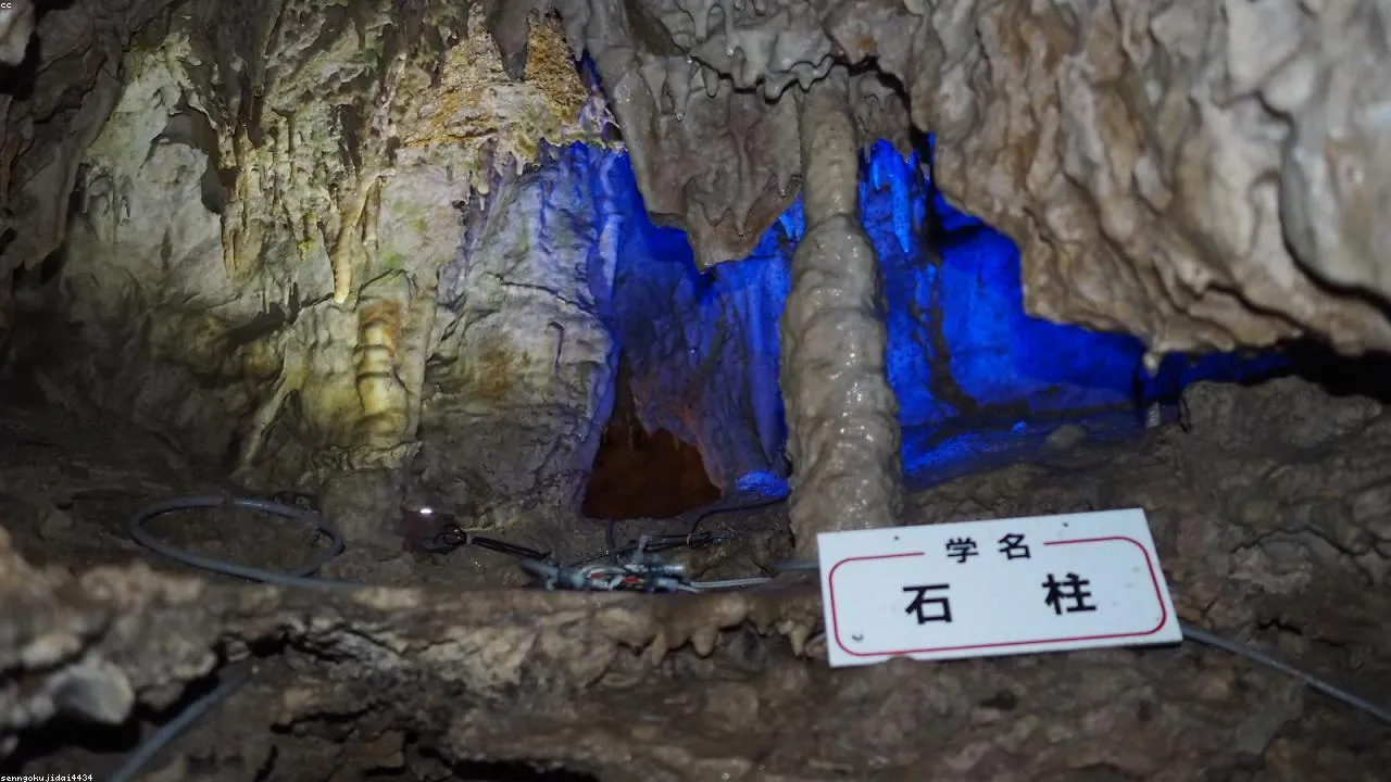 The main chamber of Akiyoshido Cave with terraced limestone pools