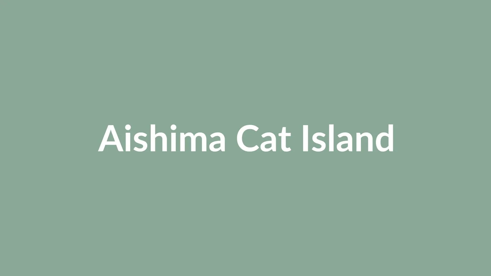 相島（猫島）の石垣の上でくつろぐ猫