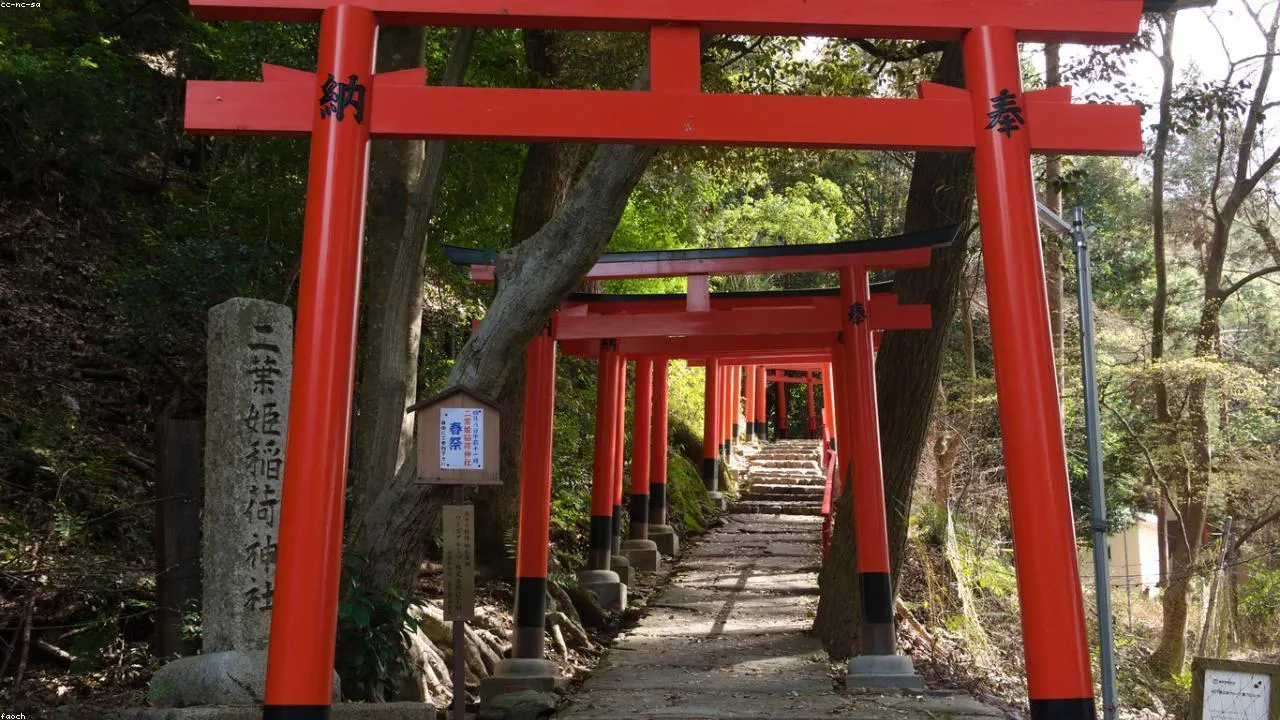 Munakata Taisha shrine main hall with cedar grove