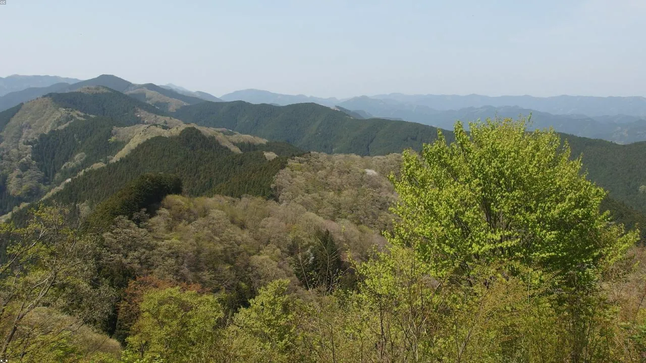 Hiking trail on Hiraodai plateau with limestone pinnacles in background