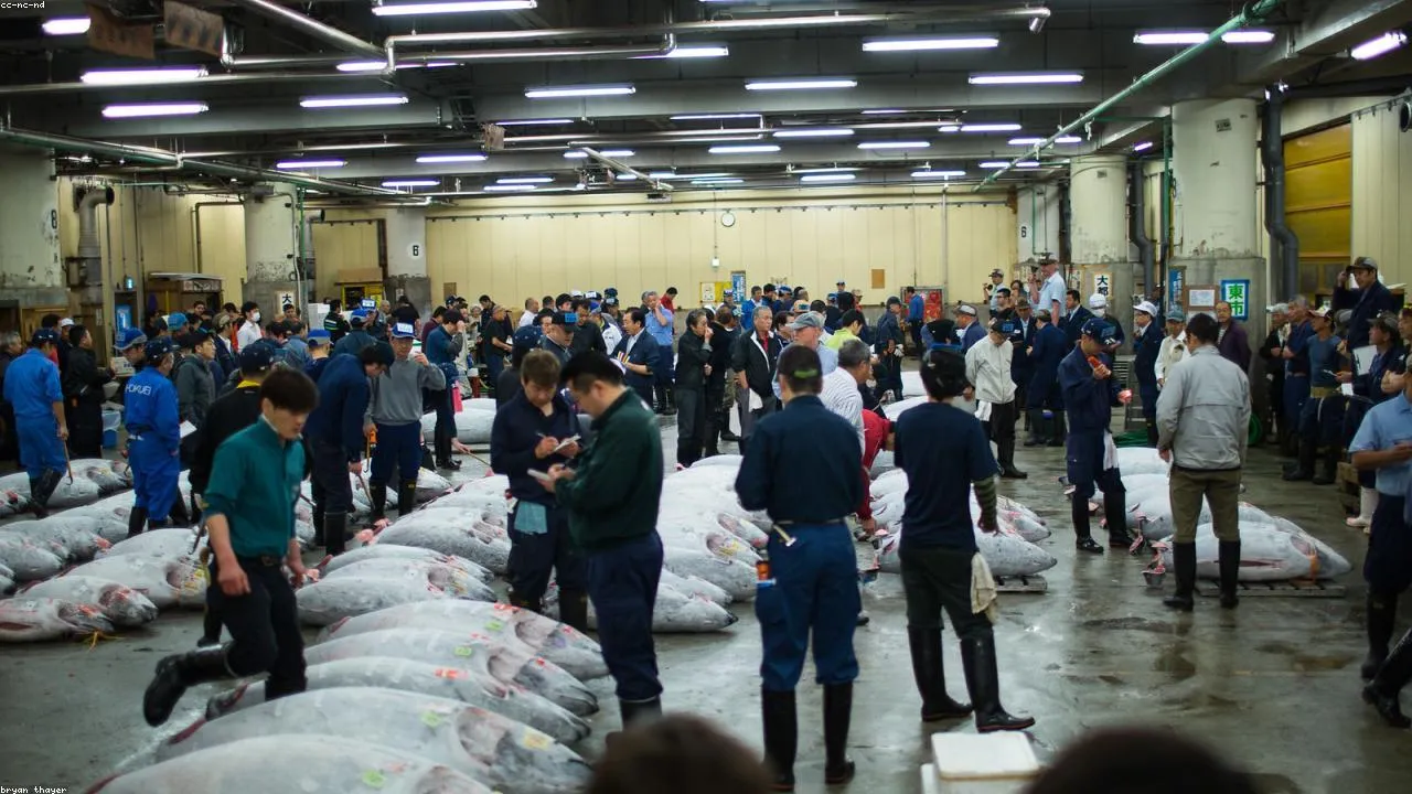 Karato Fish Market tuna auction floor and weekend market stalls