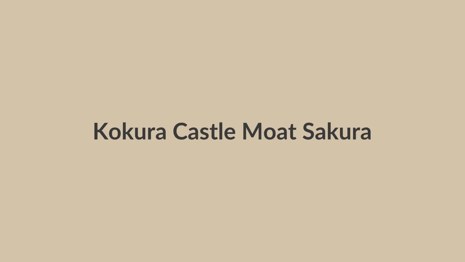Kokura Castle keep through cherry blossoms on the Murasaki River side